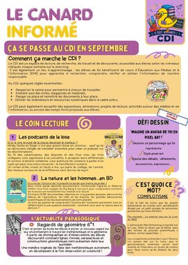Canard n°1.jpg