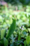 Galerie photo 