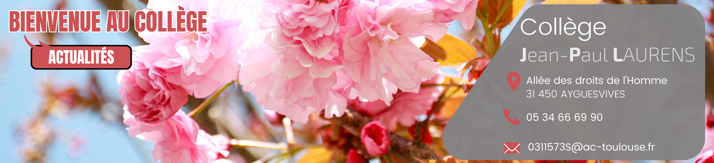 Bienvenue au Collège.png